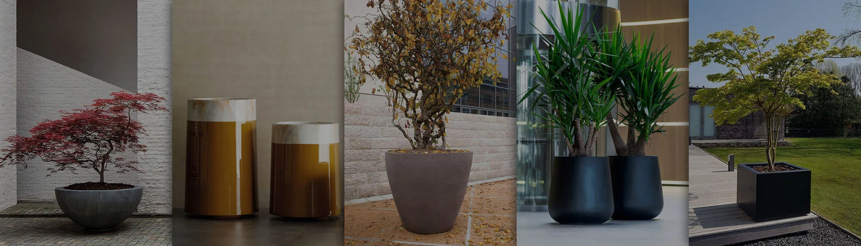 Planters & Pots